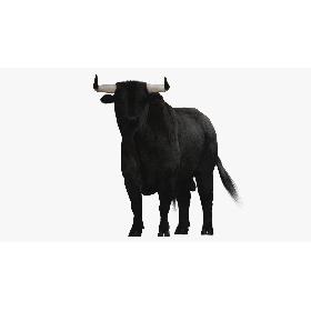 3D Bull RIGGED